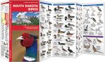 South Dakota Birds (Pocket Naturalist® Guide).