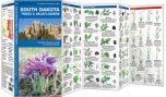 South Dakota Trees & Wildflowers (Pocket Naturalist® Guide)