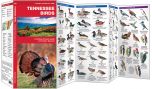 Tennessee Birds (Pocket Naturalist® Guide).