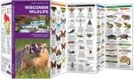 Wisconsin Wildlife (Pocket Naturalist® Guide)