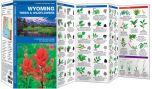 Wyoming Trees & Wildflowers (Pocket Naturalist® Guide)