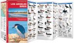 Los Angeles Birds (Pocket Naturalist® Guide)