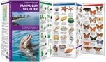 Tampa Bay Wildlife (Pocket Naturalist® Guide)