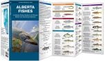 Alberta Fishes (Pocket NaturalistÃƒâ€šÃ‚Â® Guide).