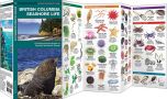 British Columbia Seashore Life (Pocket NaturalistÃƒâ€šÃ‚Â® Guide).