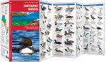 Ontario Birds, 2Nd Edition (Pocket NaturalistÃƒâ€šÃ‚Â® Guide).