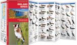 Birds Of Ireland (Pocket NaturalistÃƒâ€šÃ‚Â® Guide).