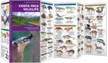 Costa Rica Wildlife (Pocket NaturalistÃƒâ€šÃ‚Â® Guide).