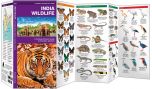 India Wildlife (Pocket NaturalistÃƒâ€šÃ‚Â® Guide).