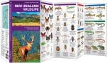 New Zealand Wildlife (Pocket NaturalistÃƒâ€šÃ‚Â® Guide).