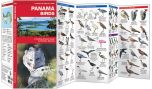 Panama Birds (Pocket NaturalistÃƒâ€šÃ‚Â® Guide).