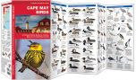 Cape May Birds (Pocket NaturalistÃƒâ€šÃ‚Â® Guide). 