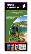 Maine Nature Set: Field Guides to Wildlife, Birds, Trees & Wildflowers (Pocket Naturalist® Guide Set)