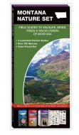 Montana Nature Set: Field Guides to Wildlife, Birds, Trees & Wildflowers (Pocket Naturalist® Guide Set)