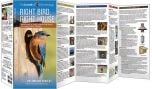 Right Bird, Right House (All About Birds Pocket Guide®)