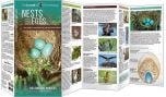 Nests & Eggs (All About Birds Pocket Guide®)