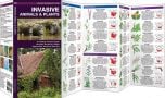 Invasive Animals & Plants: A Folding Pocket Guide to North America's Most Aggressive Invasive Species (Pocket Naturalist® Guide)