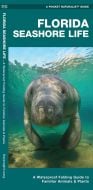 Florida Seashore Life, 2nd Edition (Pocket Naturalist® Guide)