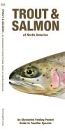 Trout & Salmon of North America, 2nd Edition (Pocket Fish Identification Guide®)