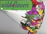 Wildflowers (Fandex Guide)