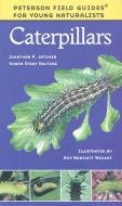 Caterpillars (Peterson Field Guide For Young Naturalists)