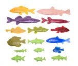 Freshwater Fish Printing Replica Collection (Set Of 16 Replicas)