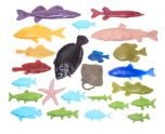 Fish Printing Replicas Collection (Discounted Set of All 24 Fish Replicas)