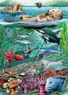 Life On The Pacific Ocean (35 Piece Tray Puzzle)