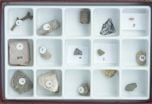 Fossils Over Time - Paleozoic Collection