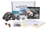 Wildlife Discovery® Kit: Raccoon