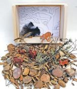 Oak Woodland Diorama (Create-A-Scene® Habitat Diorama Kit)