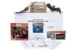 Wildlife Discovery® Kit: Bat