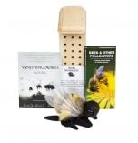 Bee Conservation Discussion Kit®