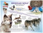 Mexican Wolf Laminated Poster