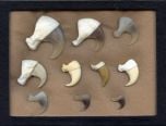 Cat Claws Display
