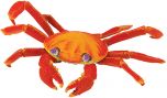 Crab (Shore) Model