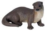 Otter (River) Model