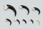Talon Replica Collection (8 Replicas).