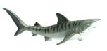 Shark (Tiger) Model