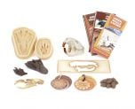Beaver Replica Pack® (Discounted Collection)