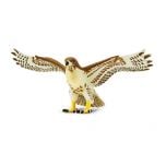 Hawk (Red-Tailed) Model