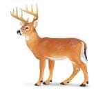 Deer (Doe) Model