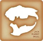 Jack Rabbit Trace-A-Skull® Template