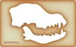 Coyote Trace-A-Skull® Template