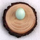 Natural Pine Egg Stand: Small. 