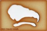 Hawk (Red-Tailed) Trace-A-Skull® Template.
