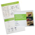 Dichotomous Identification Key To Freshwater Macroinvertebrates (Pack of 6)