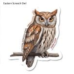 Eastern Screech Owl Sticker Pack (10 Stickers)