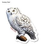 Snowy Owl Sticker Pack (10 Stickers)