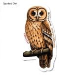 Spotted Owl Sticker Pack (10 Stickers)